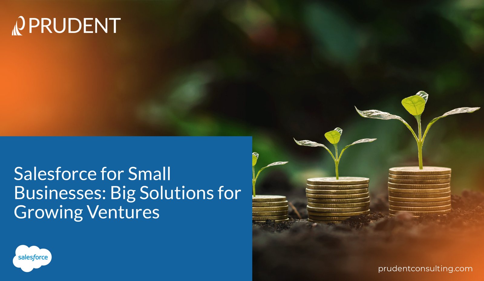 Salesforce for Small Businesses Big Solutions for Growing Ventures